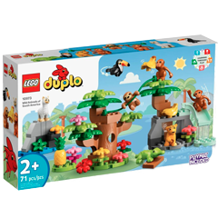 Obrázek k setu 10973