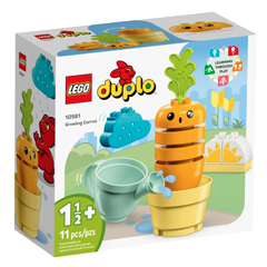 Obrázek k setu 10981