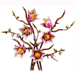 Obrázek k setu11510