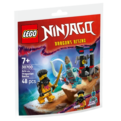 LEGO® NINJAGO™ 30700 Souboj: Arin vs. dračí stvoření Obrázek k setu30700