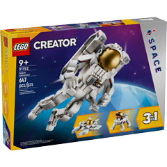 31152 Astronaut Obrázek k setu 31152